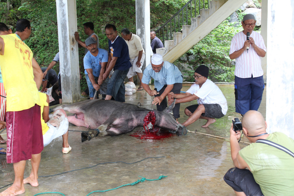 Pelaksaan Qurban Gampong Hulu Tahun 1438 Hijriah